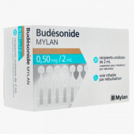 Commande Budesonide - Illustration inhalateur et comprimés